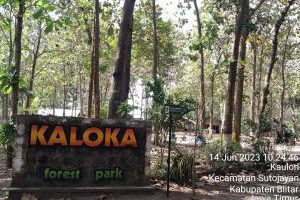 PERHUTANI BLITAR, BENARKAN ADANYA INVESTOR YANG AKAN KEMBALI MENGEMBANGKAN WISATA KALOKA
