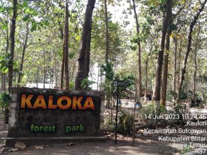 PERHUTANI BLITAR, BENARKAN ADANYA INVESTOR YANG AKAN KEMBALI MENGEMBANGKAN WISATA KALOKA