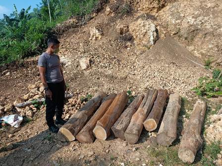 Polres Malang Berhasil Amankan Dua DPO Diduga Pelaku Illegal Logging